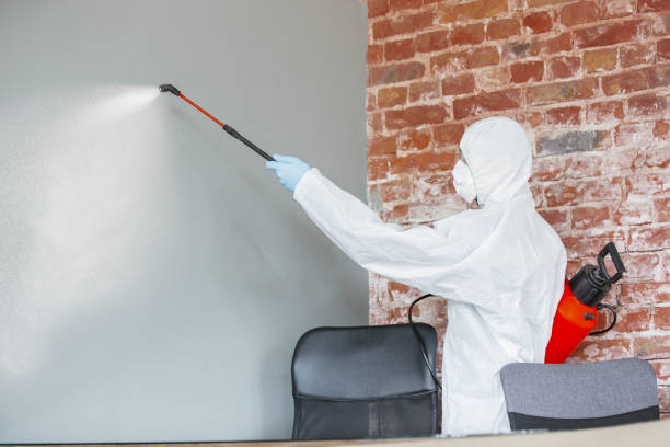 Best Biohazard Mold Removal  in Vidalia, LA